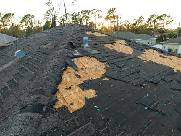 Best Sheet Metal Roofing  in Elgin, SC