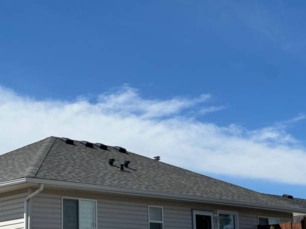 Best Roof Coating and Sealing  in Elgin, SC